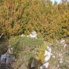 Cima rodeada de bojes.