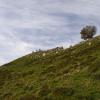 Montañeros en la cima