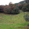 Prado de Campo de Candina, ascendemos por la derecha del mismo hasta encontrar un paso a un segundo prado