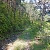Camino de bajada desde el collado norte al km 17 de la carretera