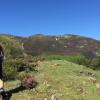 Cima de Vicierga   y Pancrudos al fondo  