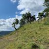 Alto y giro a la derecha para pasar la alambrada y llegar a la cima