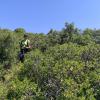 Bajada cerrada de vegetación  desde el Alto de Orchi     