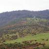Colina con la peña desde la carretera de Azpegi