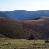 Collado Herradera