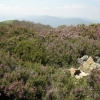 Cima