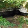 CUEVA DE LOS TOCINOS