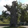CERBIAGO
