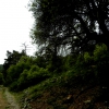 Camino del Hayal de Ginea