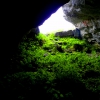 Cueva de La Molina