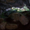 Cueva