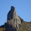 Arista occidental