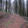 Pistas en los alrededores de Beamaru