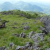 Cresta W.