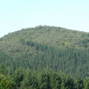 Cumbre