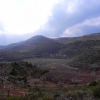 El Yescal