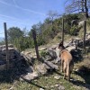 Murete y alambrada