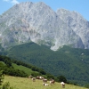 Grand y Petit Billare