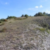 Cima