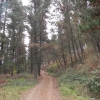 Pista de ascenso