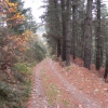Camino de Baranbio