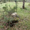 cima de La Horquilla