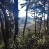  Vista del Castillo de Astúlez desde Monte Burguillos