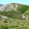 Cumbre. Vertiente N.E.