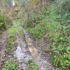 descendemos unos metros y entramos por el sendero de la derecha