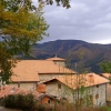 Arano