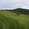 Camino del cordal y Alto del Gurugú