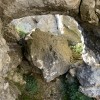Piedra bloqueando parcialmente el paso