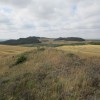 Vista del cerro oriental, repoblado de pinos, con una cota cimera unos metros inferior