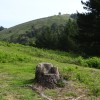 DSC00772