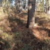 sendero bien marcado a la cima
