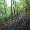 Agradable camino hacia el monte