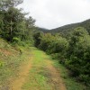 Pista hacia Los Morales.