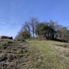 Cima de El Picacho