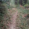 pista tras la alambrada
