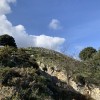 IMG_1798