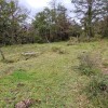 en el collado pasamos la alambrada y salimos a la pista que sube de Lorcio que seguimos hacia la derecha