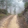 Subida por la pista.