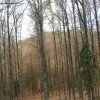 La cumbre desde el portillo