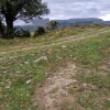 en el alto cogemos hacia la izquierda la pista que viene del Sur