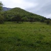 Monte de la Revilla.