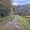 pista tras entrar en la cabaña de la sierra