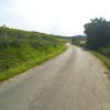 Camino asfaltado.