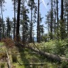 IMG_8283