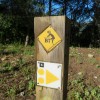 Baliza de la ruta 6 del Centro BTT de la Vall de Pop, al inicio del paseo en Sa Creueta