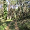 Pista hacia Revillalta.